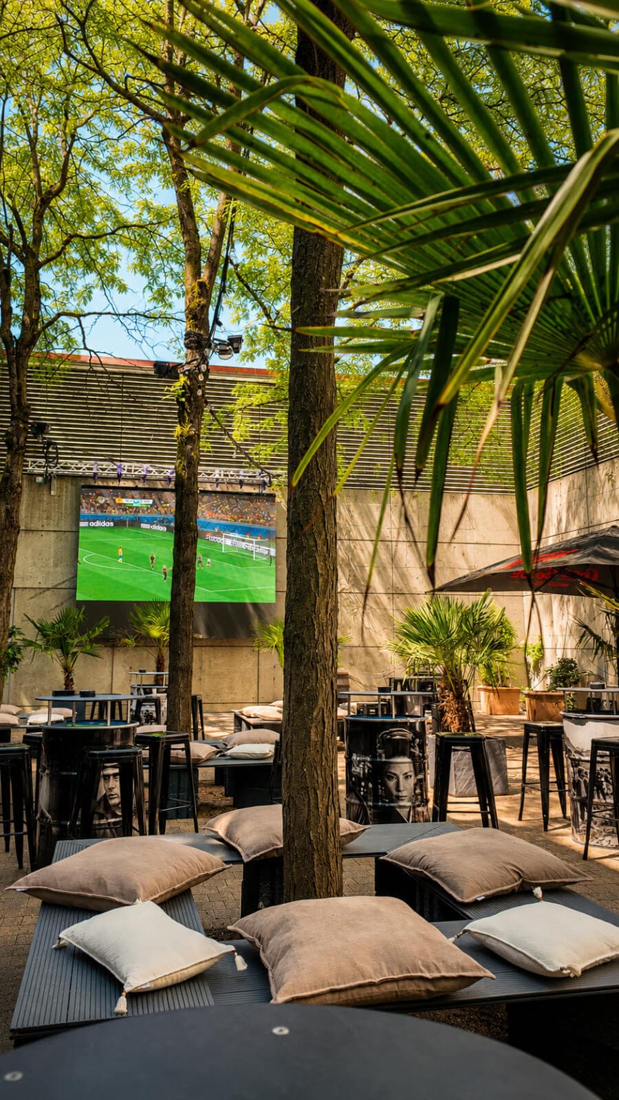 Impression aus der Palmen Garten Bar